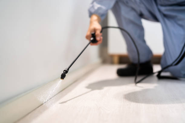 Bed Bug Pre-Treatment Preparation Assessment in Hazen
