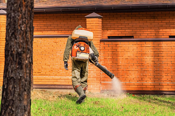 Bed Bug Clearance Verification and Documentation in Hazen